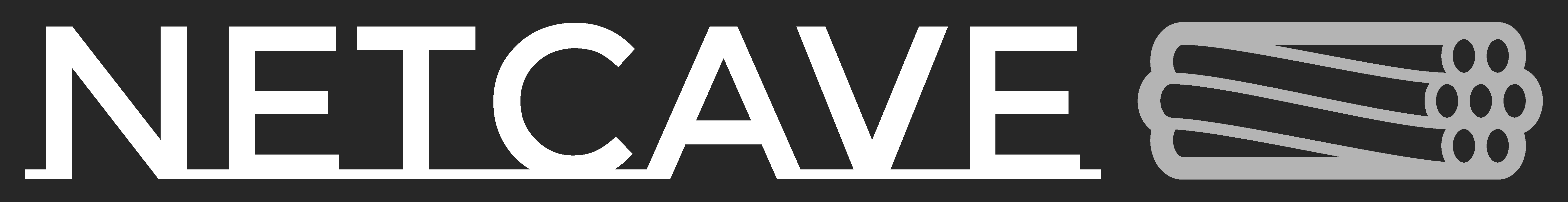 NetCave Logo